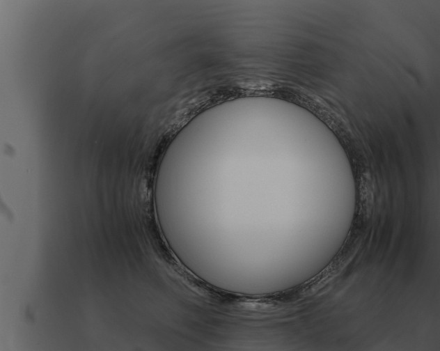 X0000091100614200708061024