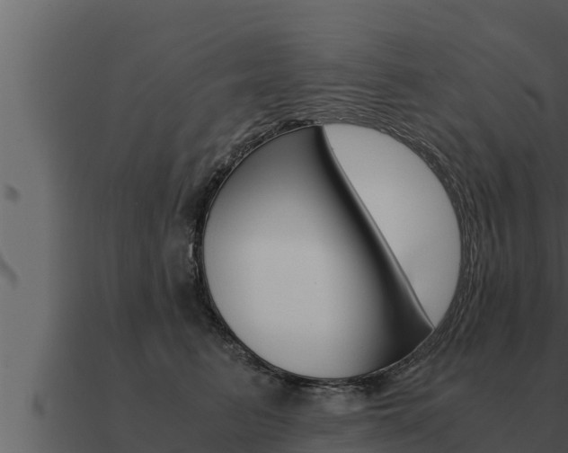 X0000091100615200708061024