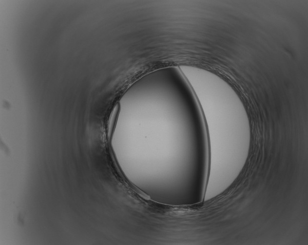X0000091100617200708061024