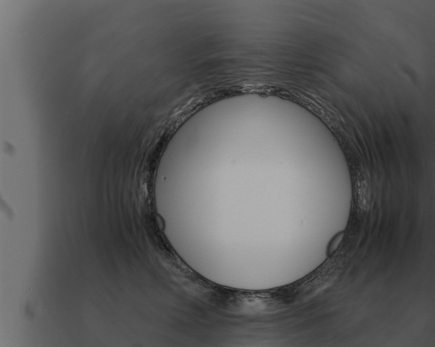 X0000091100618200708061024