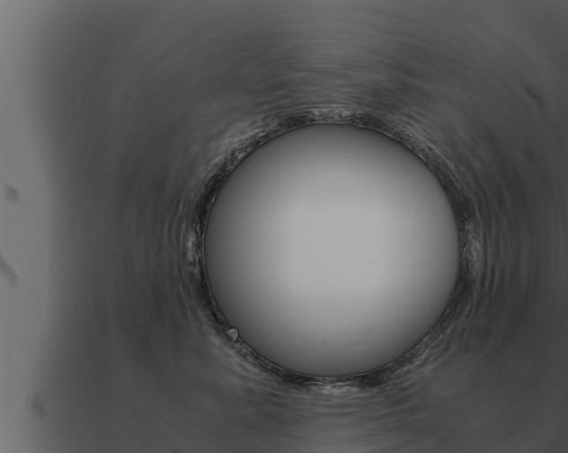 X0000091100619200708061024