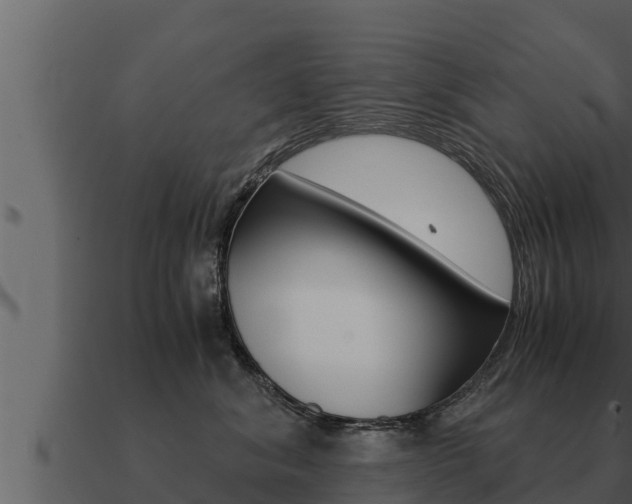 X0000091100620200708061024