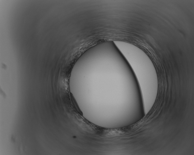 X0000091100621200708061024
