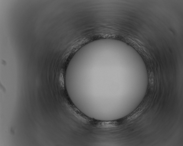 X0000091100622200708061024