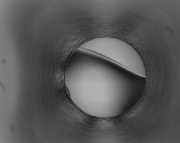 X0000091100624200708061024
