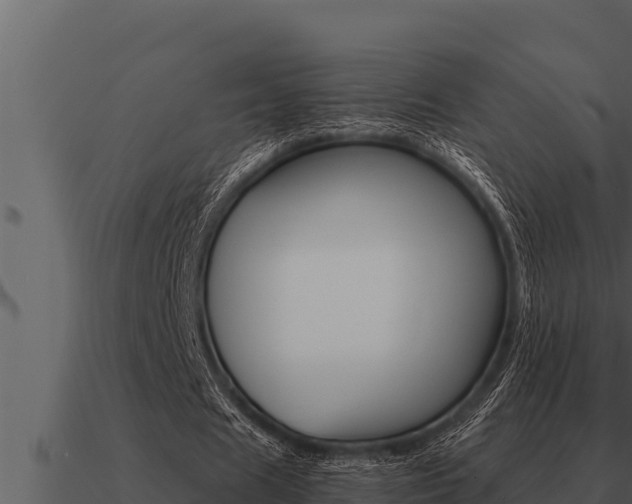 X0000091100625200708061023