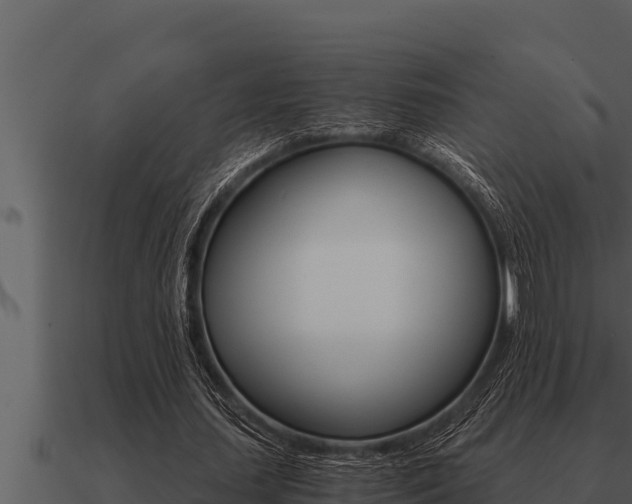 X0000091100627200708061023