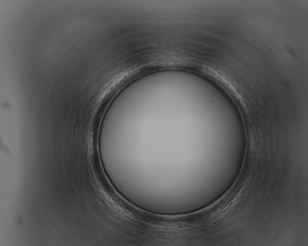 X0000091100629200708061023