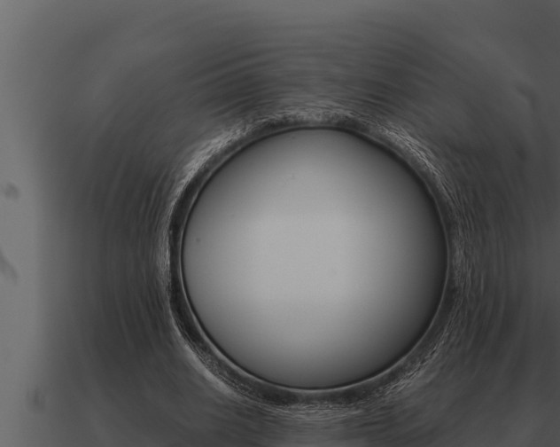 X0000091100630200708061023