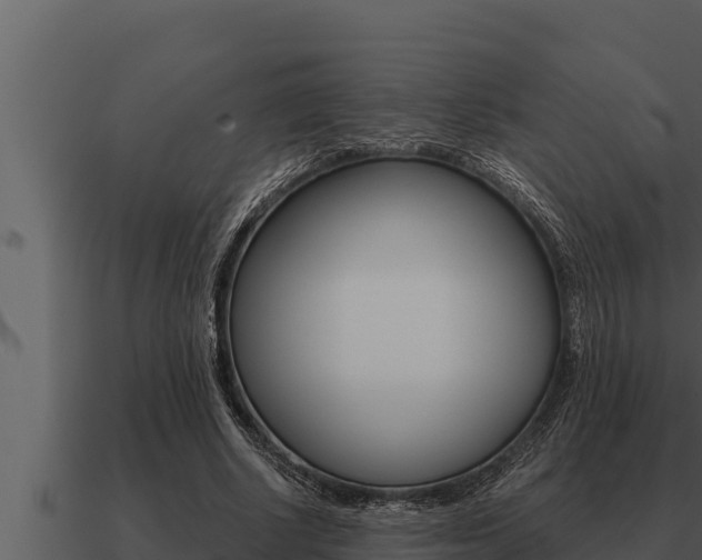 X0000091100634200708061023