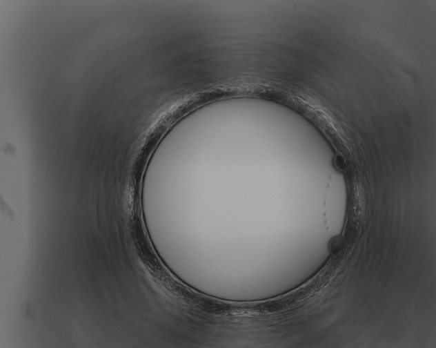 X0000091100636200708061023