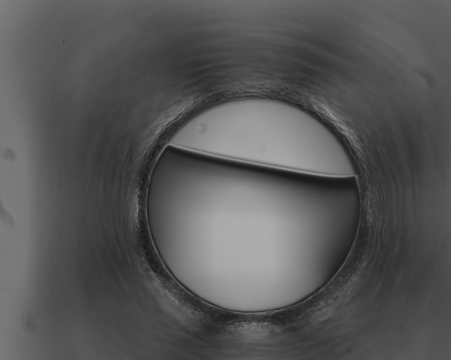 X0000091100637200708061023