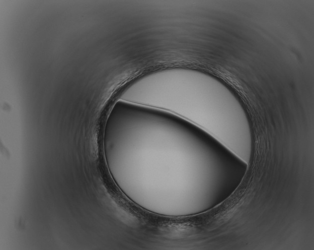 X0000091100638200708061023