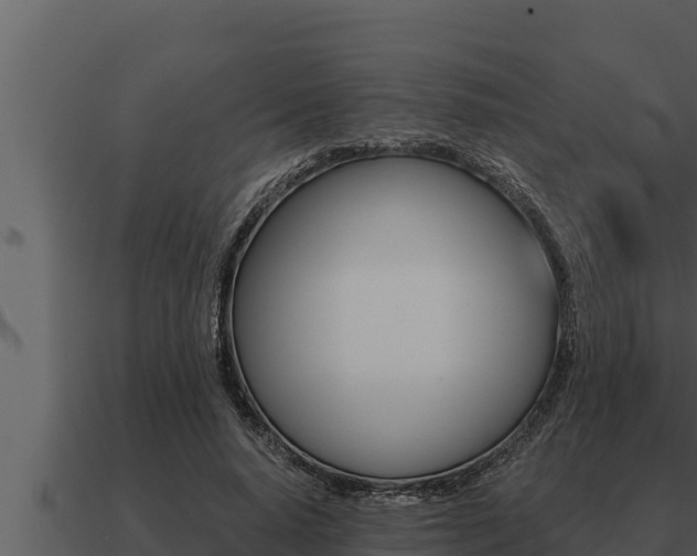 X0000091100640200708061023