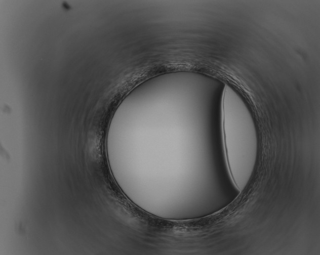 X0000091100641200708061023