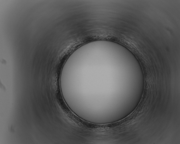 X0000091100642200708061023