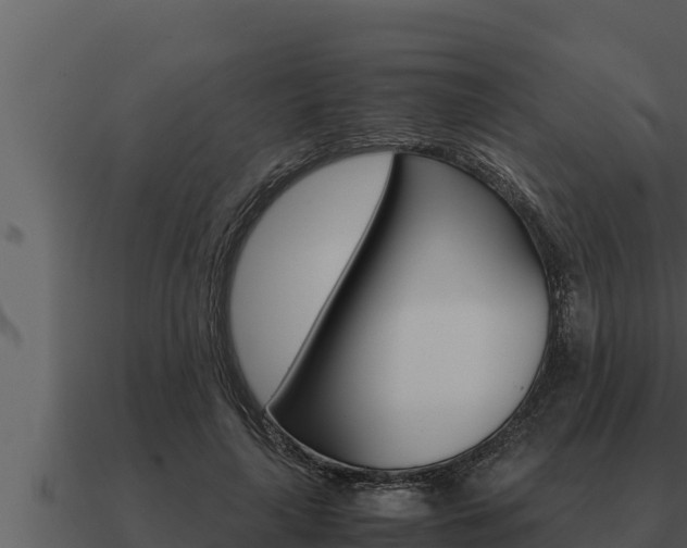 X0000091100643200708061023