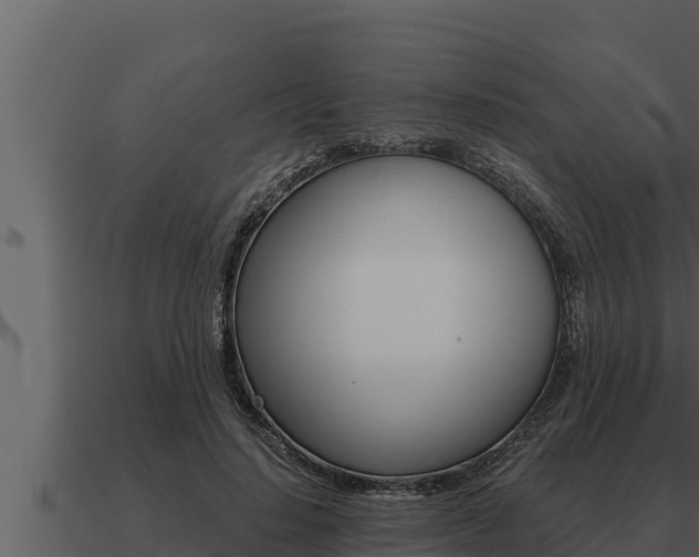 X0000091100644200708061023