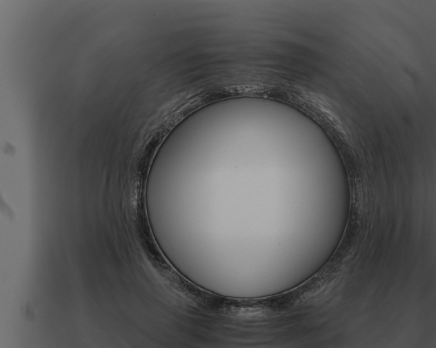 X0000091100645200708061023