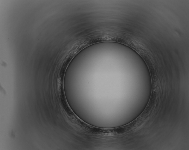 X0000091100646200708061023
