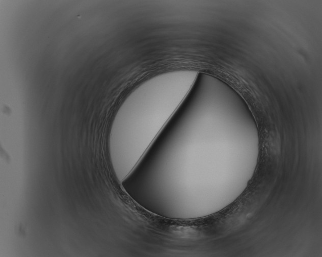 X0000091100649200708061023