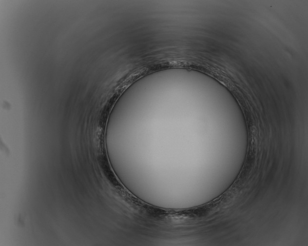 X0000091100650200708061023