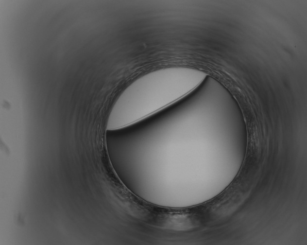 X0000091100651200708061023