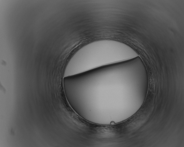X0000091100652200708061023