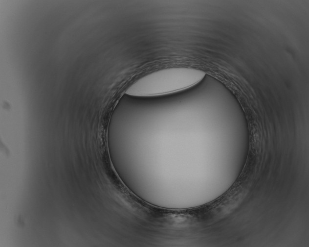X0000091100654200708061023