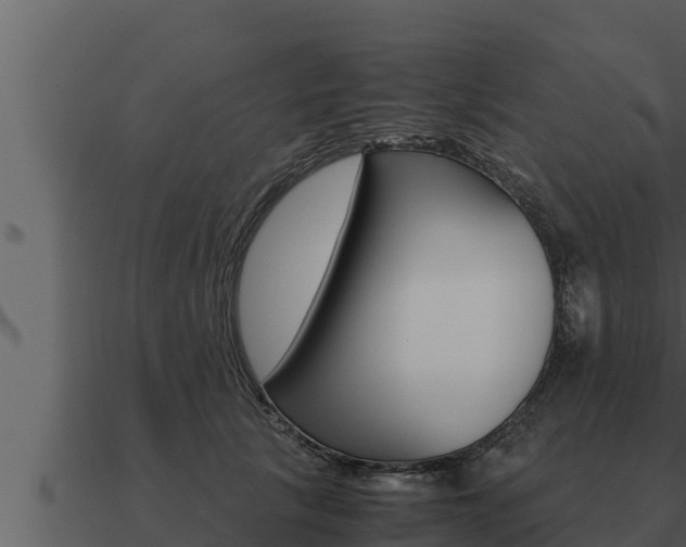 X0000091100657200708061023