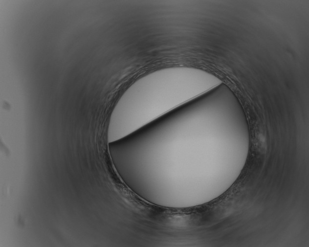 X0000091100658200708061023