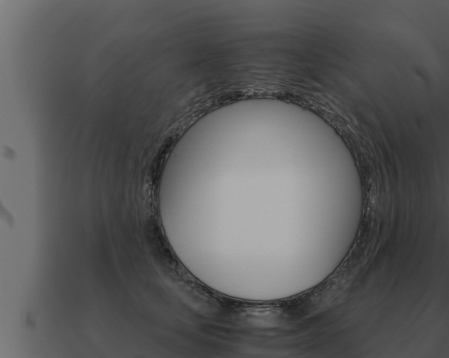 X0000091100659200708061023
