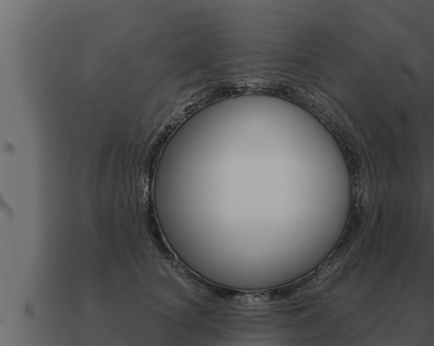 X0000091100660200708061024