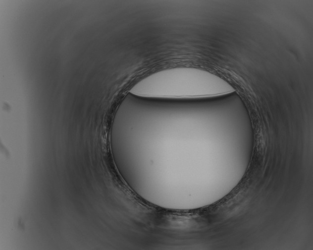 X0000091100661200708061024