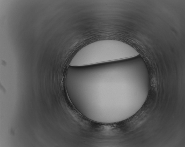 X0000091100662200708061024