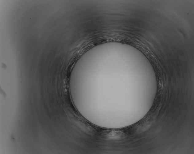 X0000091100663200708061024