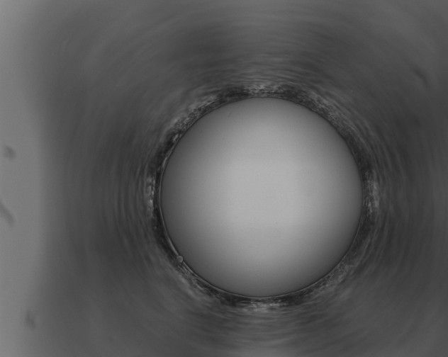 X0000091100664200708061024