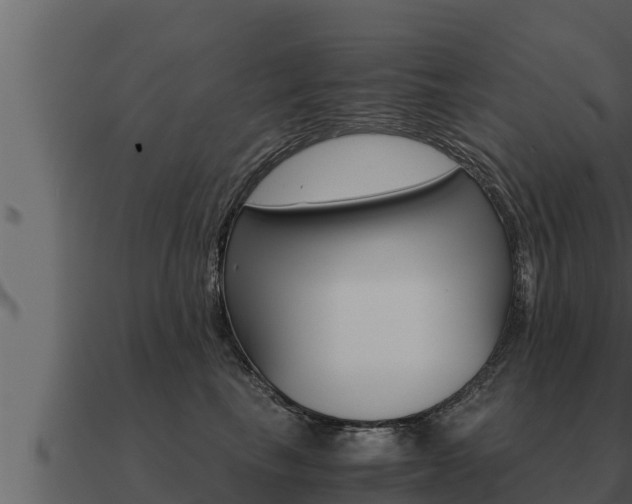 X0000091100665200708061024