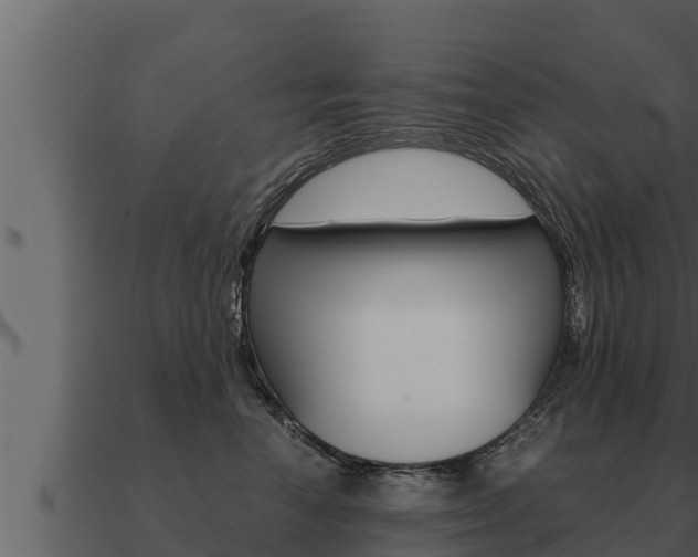 X0000091100666200708061024