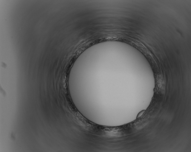 X0000091100667200708061024