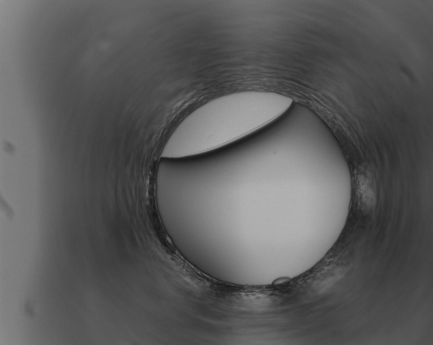 X0000091100668200708061024