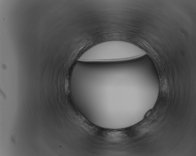 X0000091100669200708061024