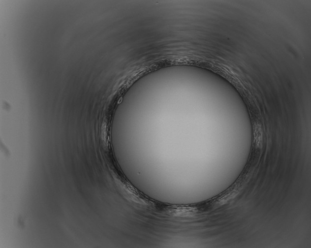 X0000091100670200708061024