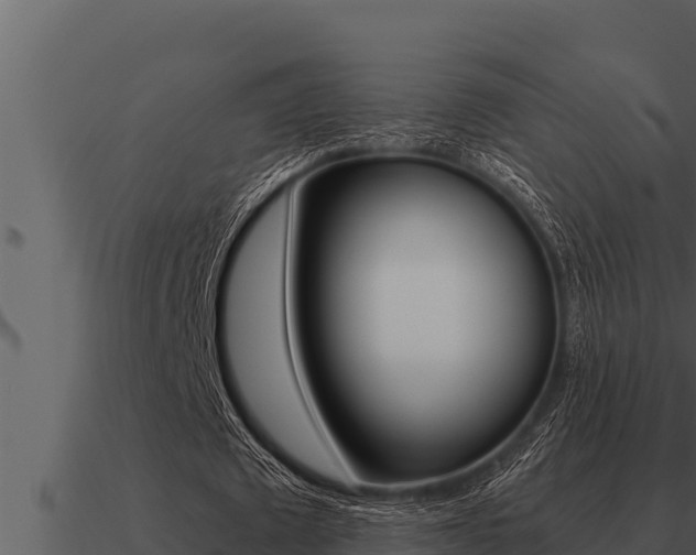 X0000091100673200708061023