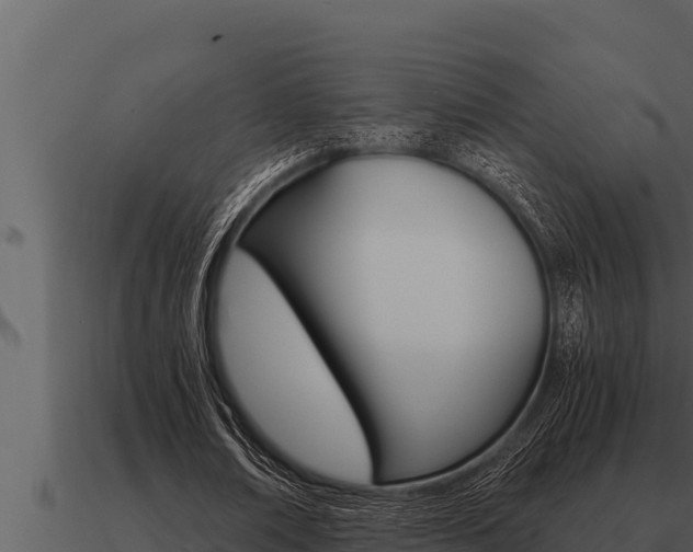 X0000091100674200708061023