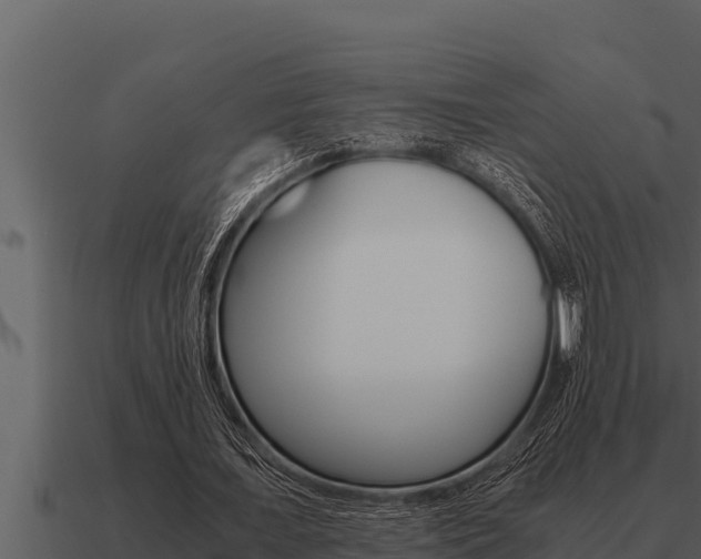 X0000091100675200708061023