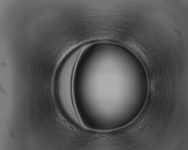 X0000091100676200708061023