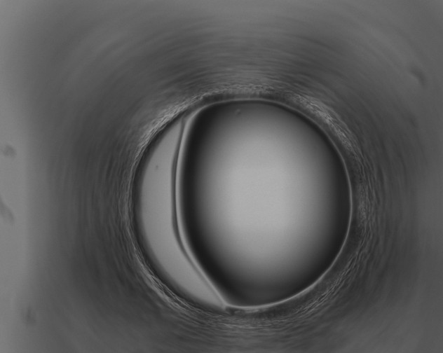 X0000091100677200708061023