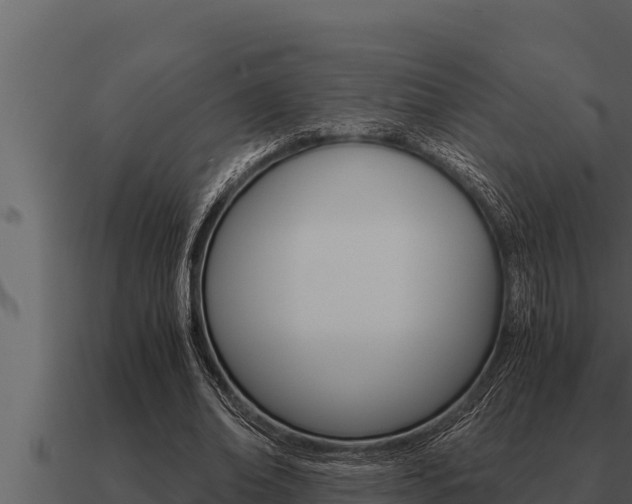 X0000091100678200708061023