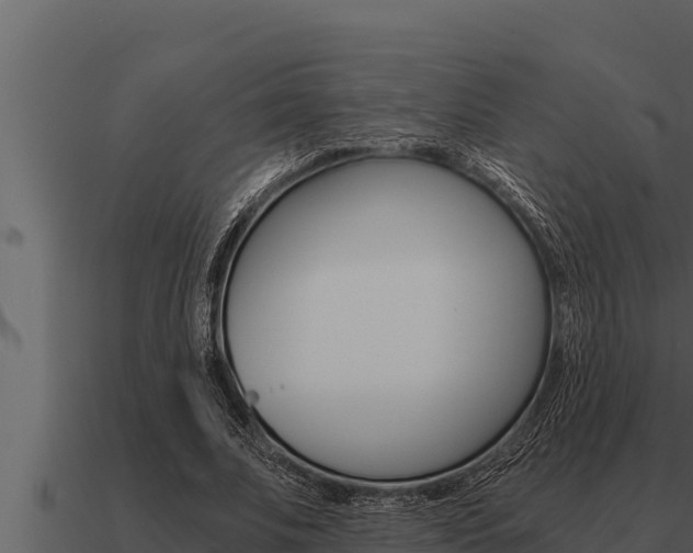 X0000091100679200708061023